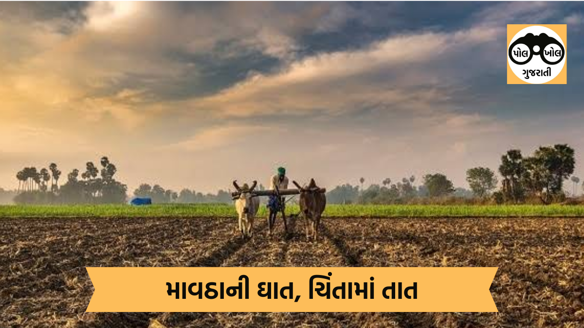 ગુજરાતમાં આ તારીખે પડી શકે છે માવઠું, જગતનો તાત ચિંતિત